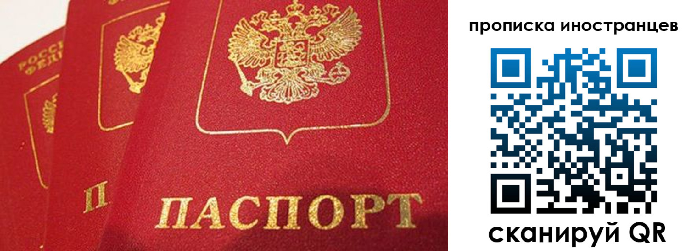 прописка поиск в ЕАО